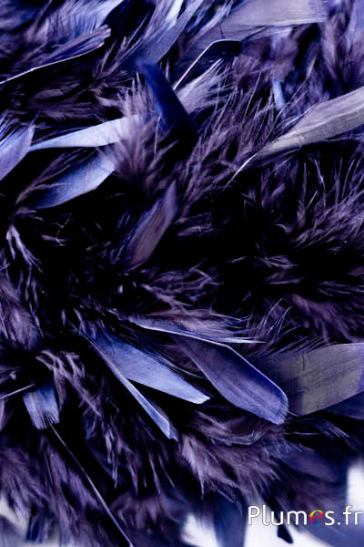 Coq mèche  - 10 cm - bleu nuit-noir